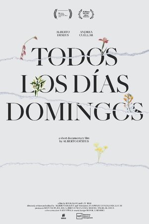 todos los días domingos