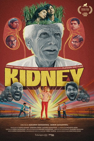 Kidney