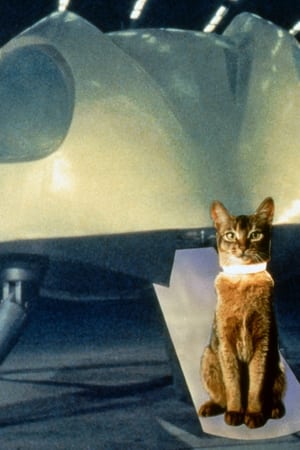 The Cat from Outer Space