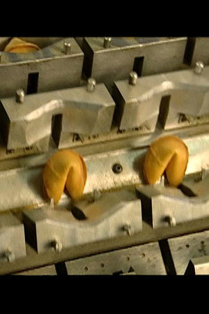 Carbon-Fiber Masts, Fortune Cookies, IMAX Projectors, Roller Chains