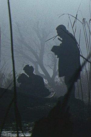 The Little Flower by the Lake