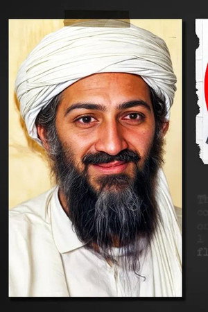 What Was on Bin Laden's Hard Drive?
