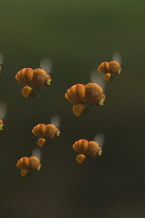 Gather more to pollinate more