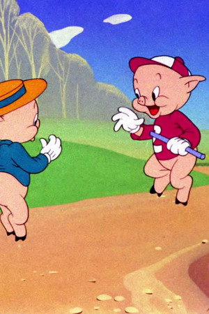 Pigs in a Polka