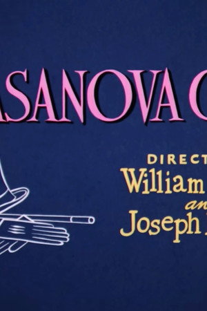 Casanova Cat