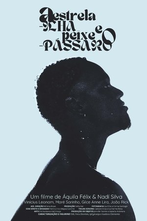 A Estrela-ilha e o Peixe-pássaro
