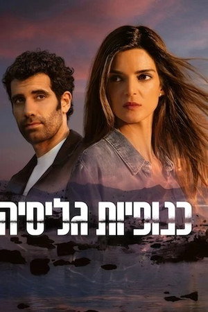 כנופיות גליסיה