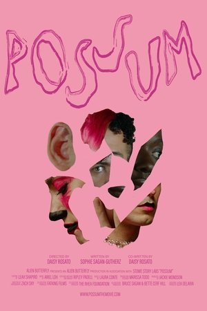 POSSUM