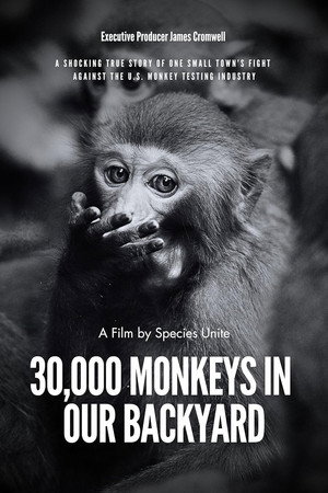 30,000 Monkeys in Our Backyard