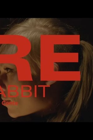 Pure - Black Rabbit