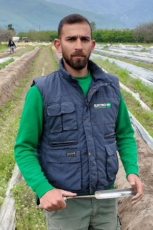 Greek Asparagus Challenges the Competition