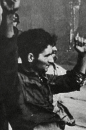 The Final Solution - Auschwitz (2)