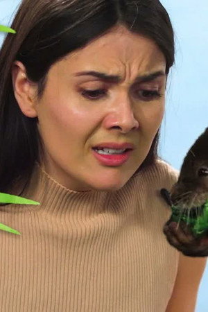 Patti Reviews Exotic Animals: Otter