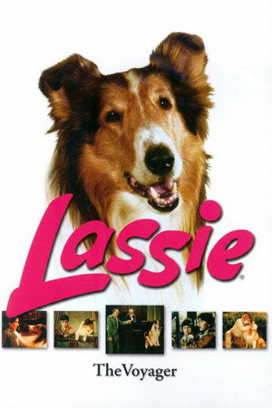Lassie: Disappearance
