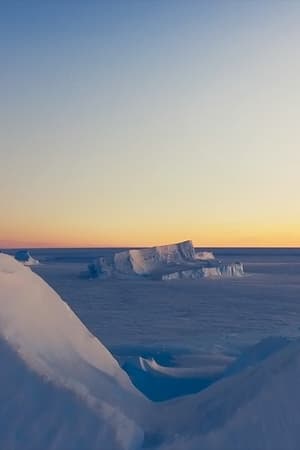 Antarctica