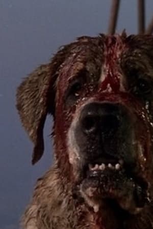 Cujo