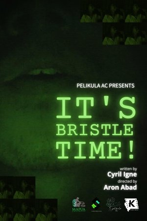 It's Bristle Time!
