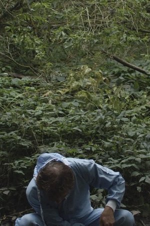 The Garden Caretaker