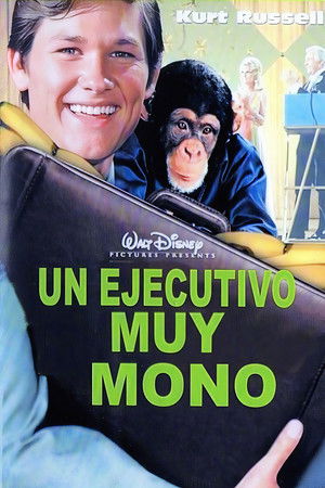 The Barefoot Executive