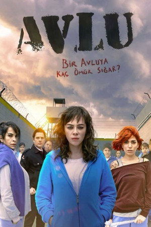 Avlu
