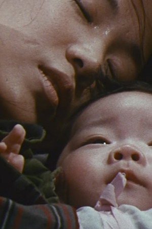 Fighting Journey With Baby In Tow