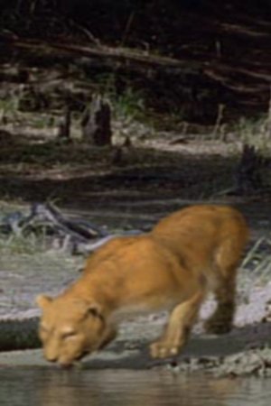 3. epizoda