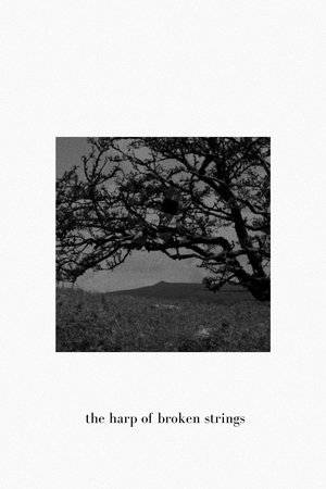 The Harp of Broken Strings