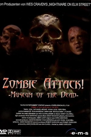 Zombie Attack: Museum of the Dead