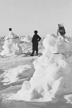 The Endurance: Shackleton's Legendary Antarctic Expedition