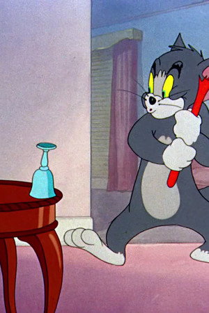 Kitty Foiled