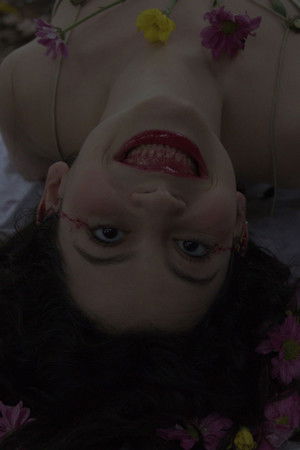 E Tudo Sob o Sol Está em Tom