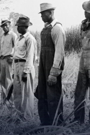 How sugar created slavery (2/2)