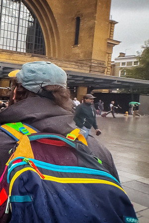 Film a Bird — Ben & Adam’s Full Attempt