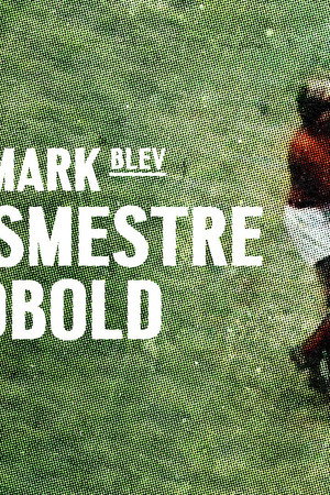 Da Danmark blev verdensmestre i fodbold