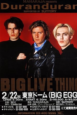 Duran Duran: Live in Japan '89