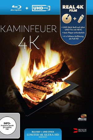 Kaminfeuer 4K