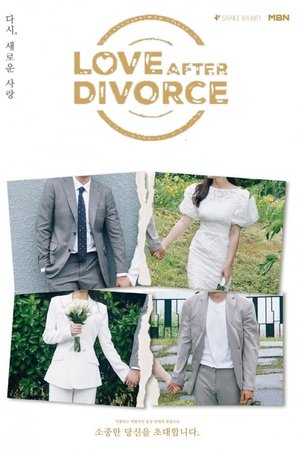 Love After Divorce