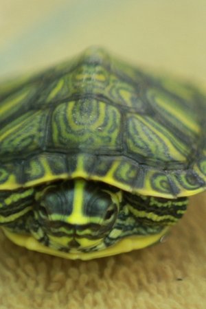 3. epizoda