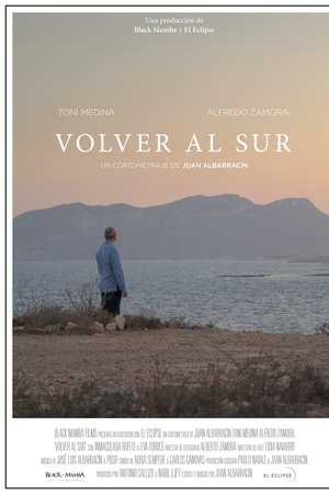 Volver al sur