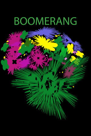 Bumerang