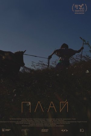 Plai. A Mountain Path