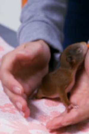 6. epizoda