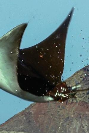 11. epizoda