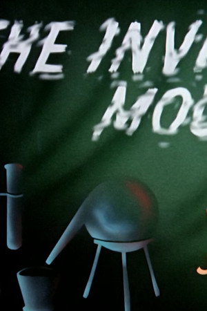 The Invisible Mouse