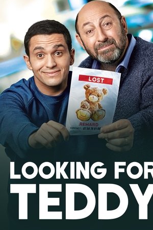 Looking for Teddy