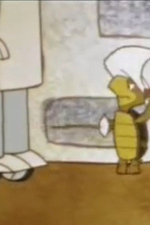 Dough Nuts