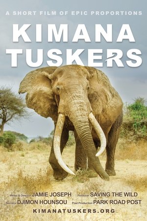 Kimana Tuskers