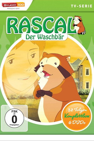 Rascal, der Waschbär