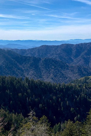 Great Smokey Mountains