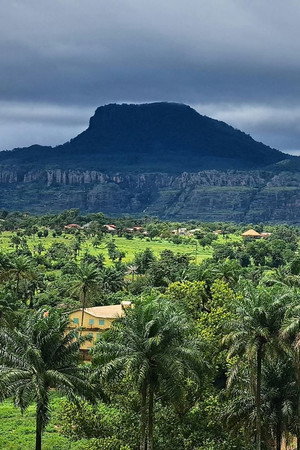 Guinea’s Adventurous Trade Routes